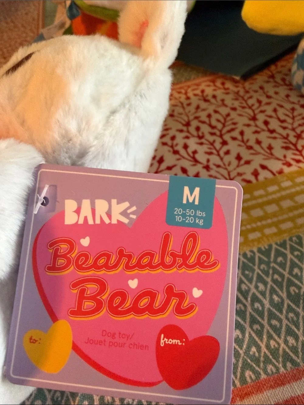 🆕 Bark Bearable Bear
